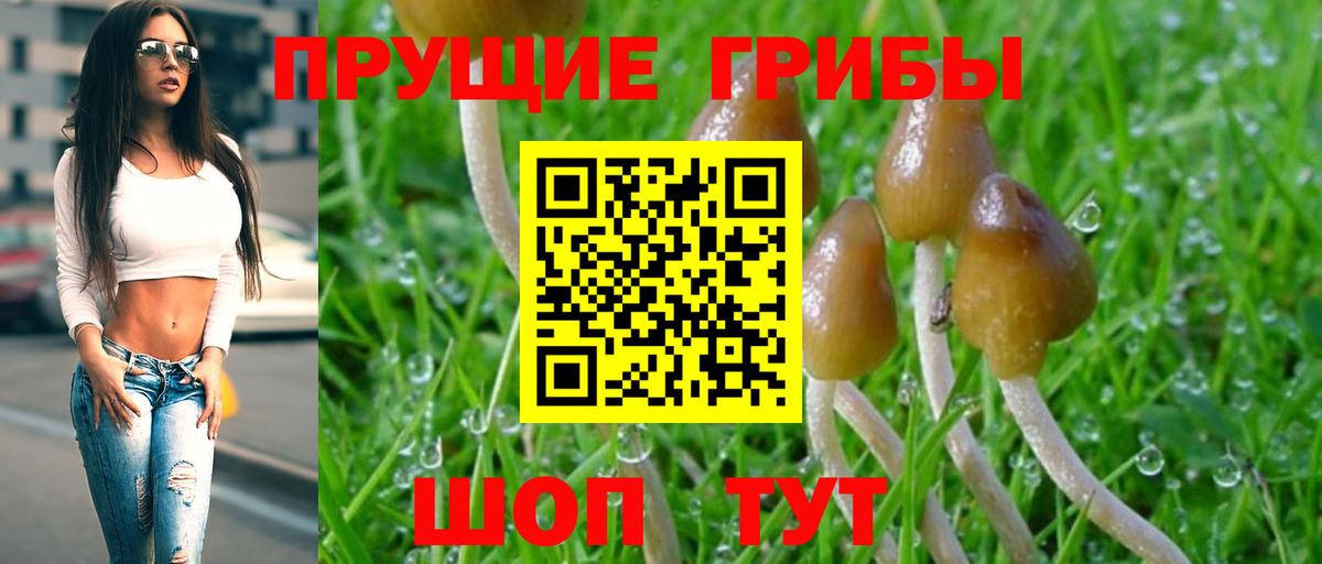 Озёры  Галлюциногенные грибы MAGIC MUSHROOMS  Вход с VPN 
